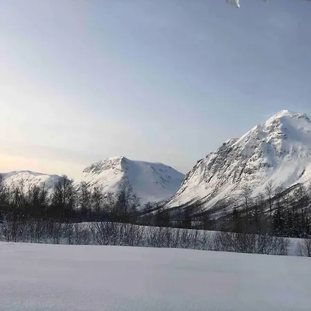 Mountainside Lodge - Breivikeidet Tromso Exterior photo
