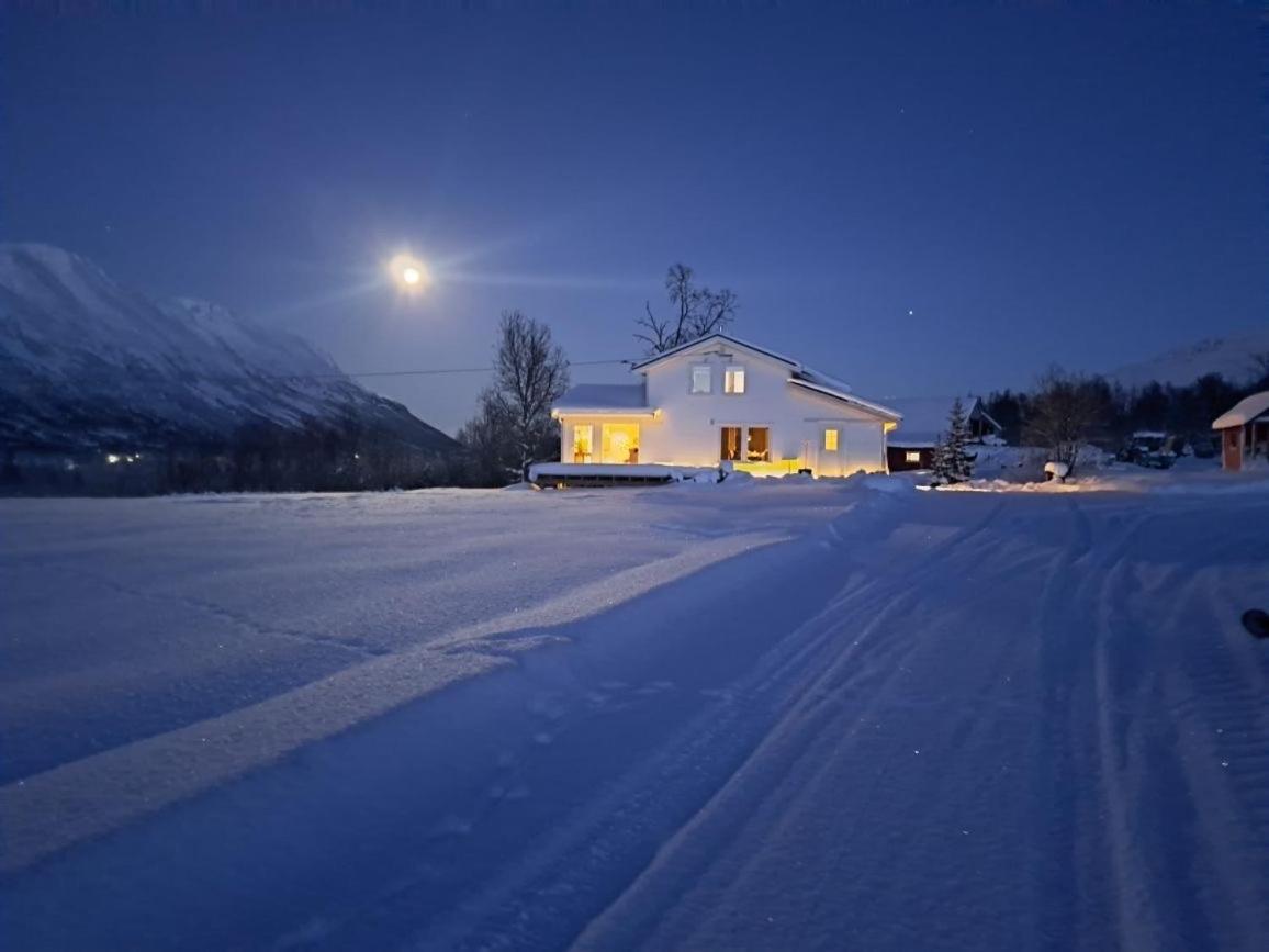 Hébergement de vacances Mountainside - Breivikeidet Tromsø
